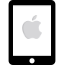 ipad-software-development-services
